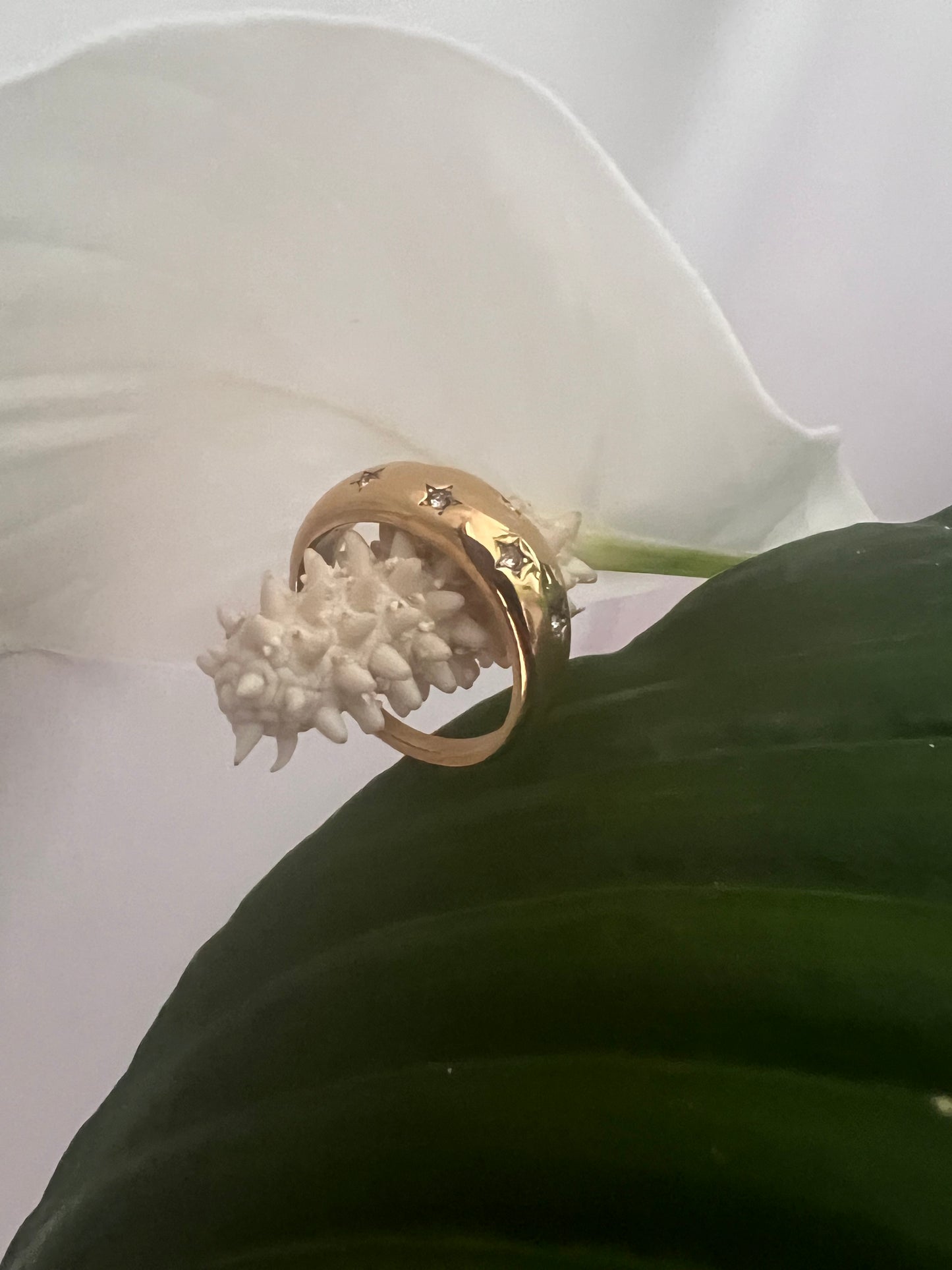 Anel 7 Estrelas - Banho de Ouro 18K